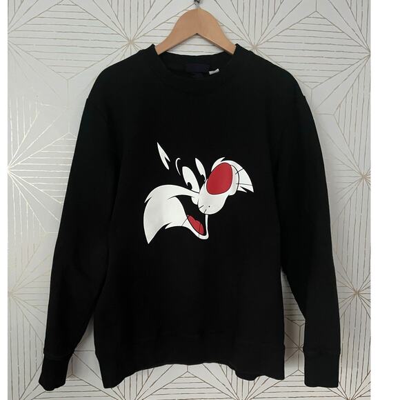 H&M Sylvester The Cat WB Black Sweater Sweatshirt Warner Brothers Loony Tunes M - Picture 1 of 5